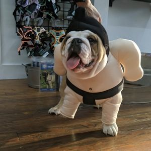 Size Large, Dog Sumo Costume